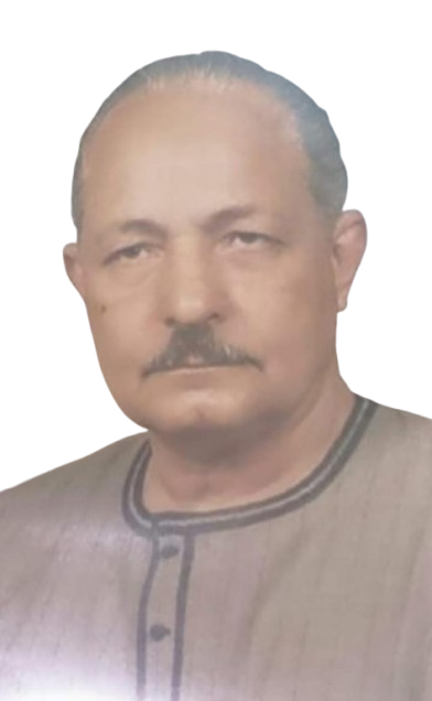 Hosni Ahmed Elshazly